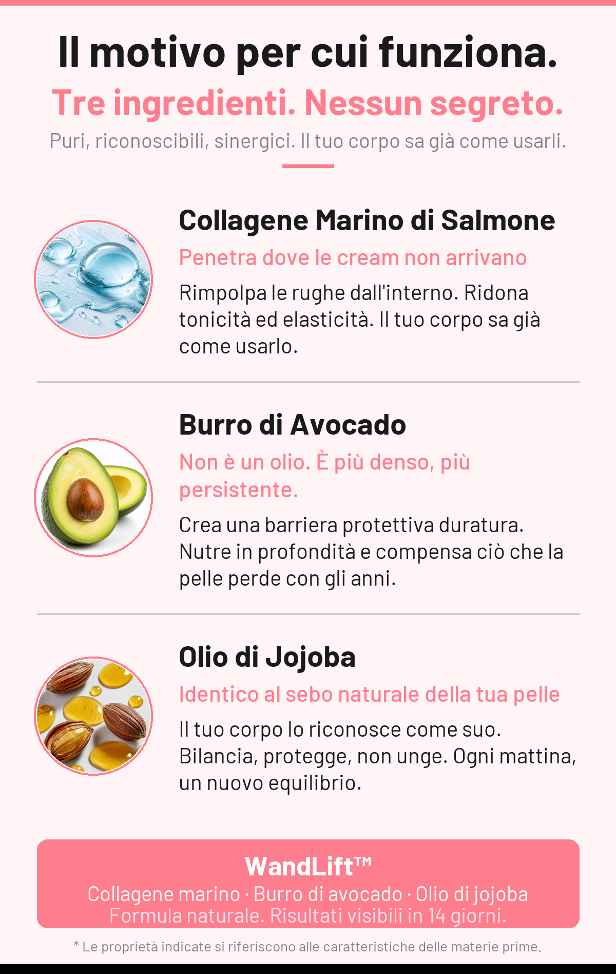 WandLift ingredienti — Collagene marino, Burro di avocado, Olio di jojoba